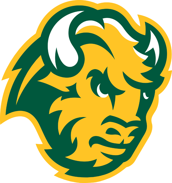 North Dakota State Bison 2012 Unused Logo diy DTF decal sticker